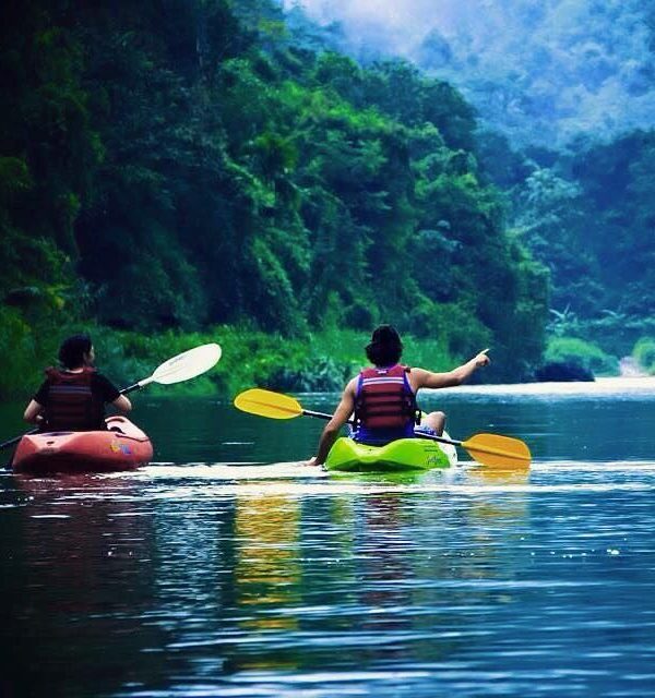 Enjoy peaceful boat rides through rivers and lagoons.