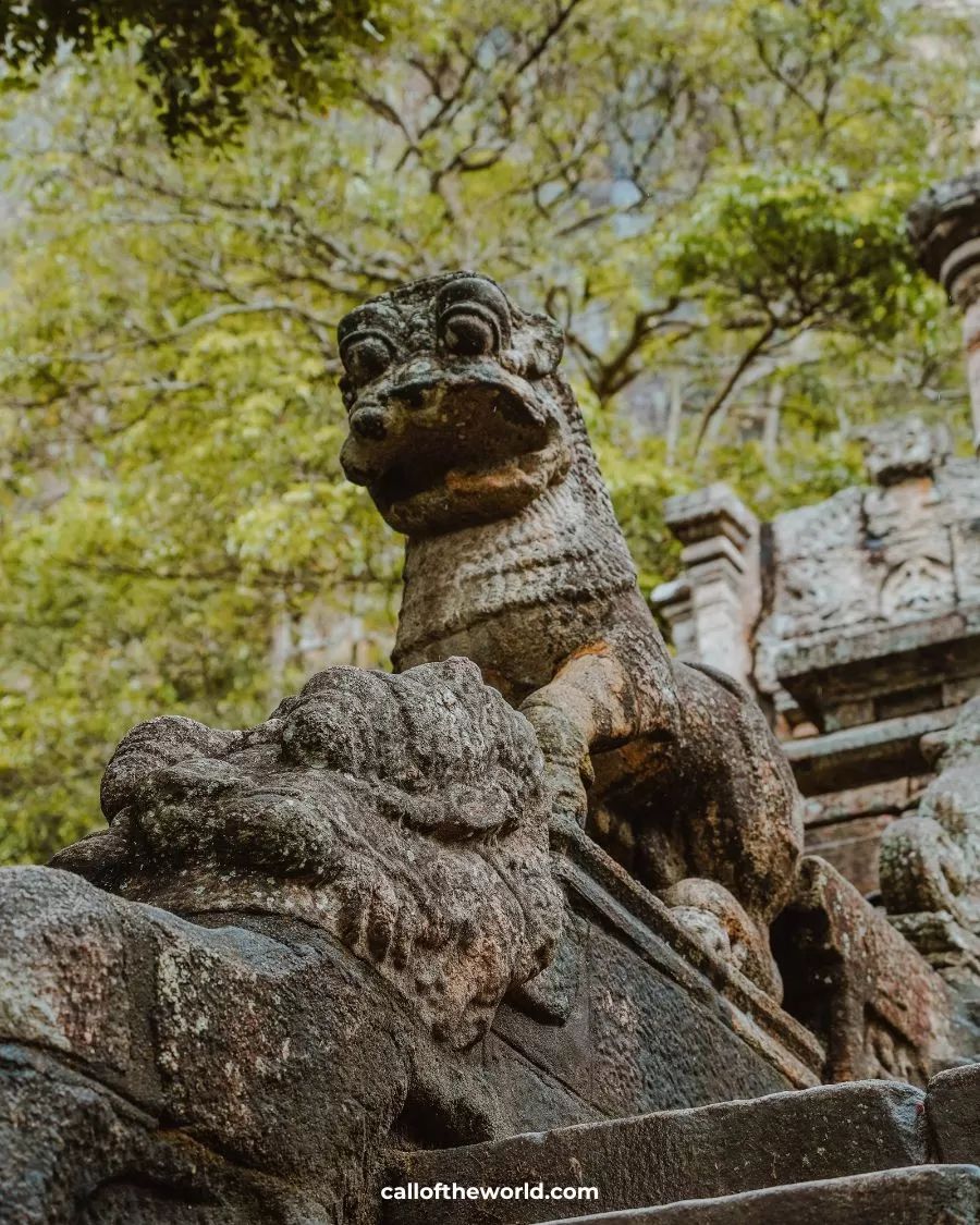 32f2425cf162163538088a57143df871