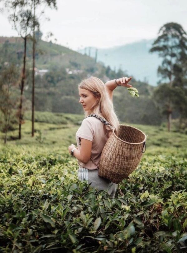 Visit tea plantations and factories to witness tea production, enjoy plantation walks, and sample premium Ceylon tea right at the source.