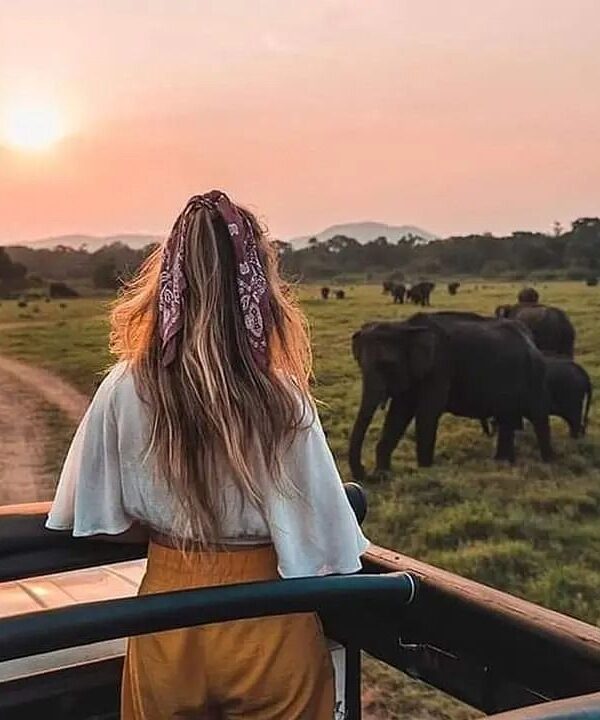Explore Sri Lanka’s wildlife on exciting national park safaris.