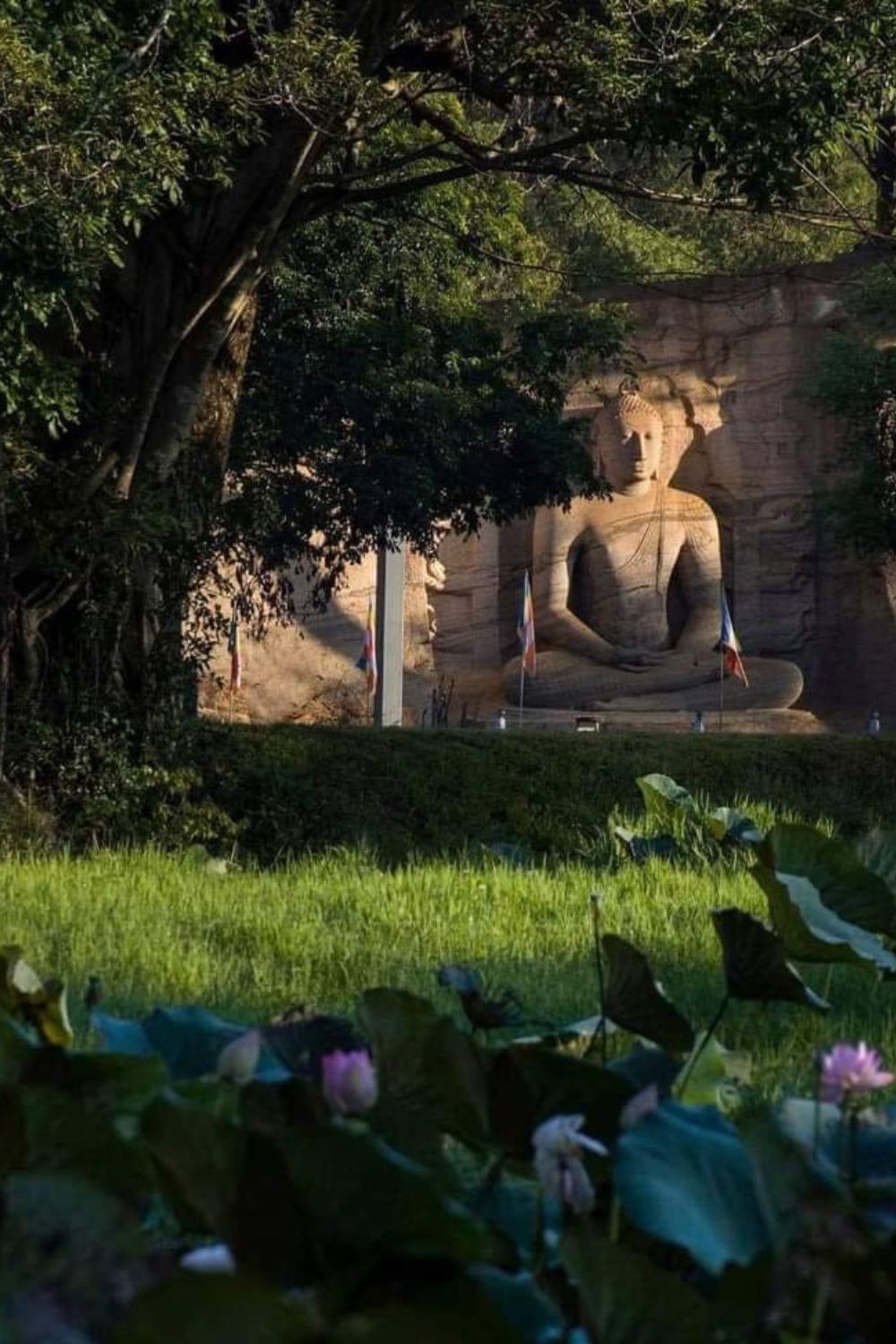 ef8f5c339c42c1da9554ddf0f2e3cb56