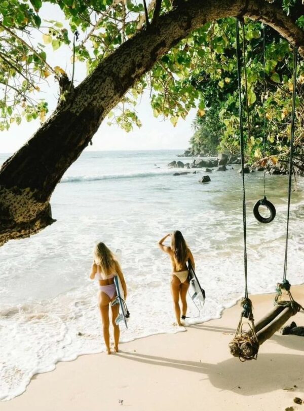 Sri Lanka’s coastline offers endless beach experiences including sunbathing, snorkeling, swimming, beach walks, and enjoying vibrant coastal cafes.